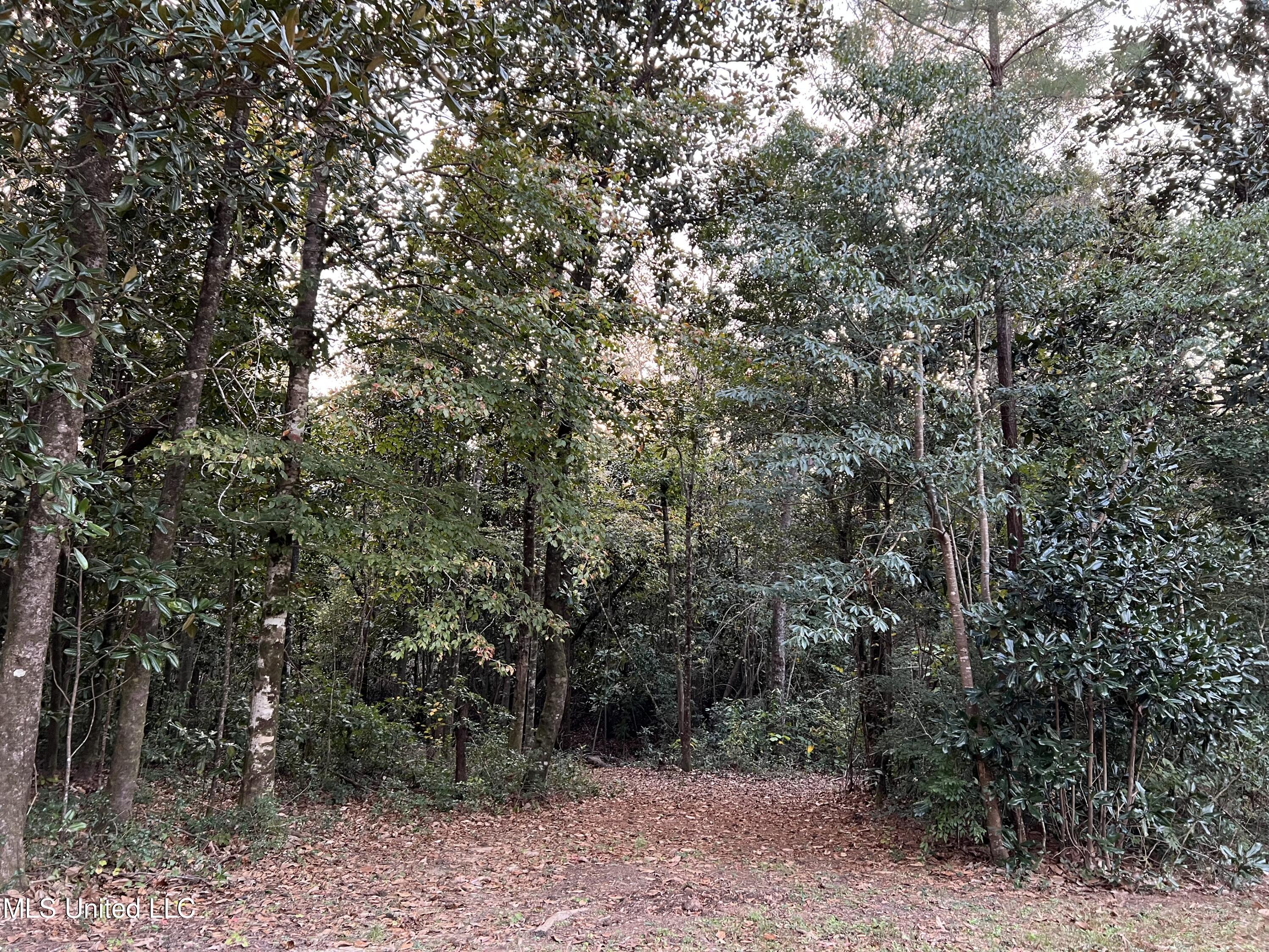 21335 West Mitchell Road Saucier, MS 39574 - Photo 6 of 32 IMG_8414