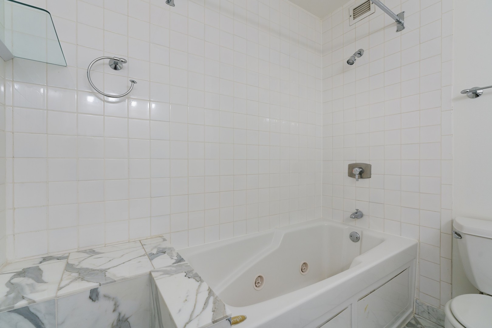 1030 North State Street, Unit 13E Chicago, IL 60610 - Photo 19 of 30 a bathroom with a bathtub a toilet and a shower