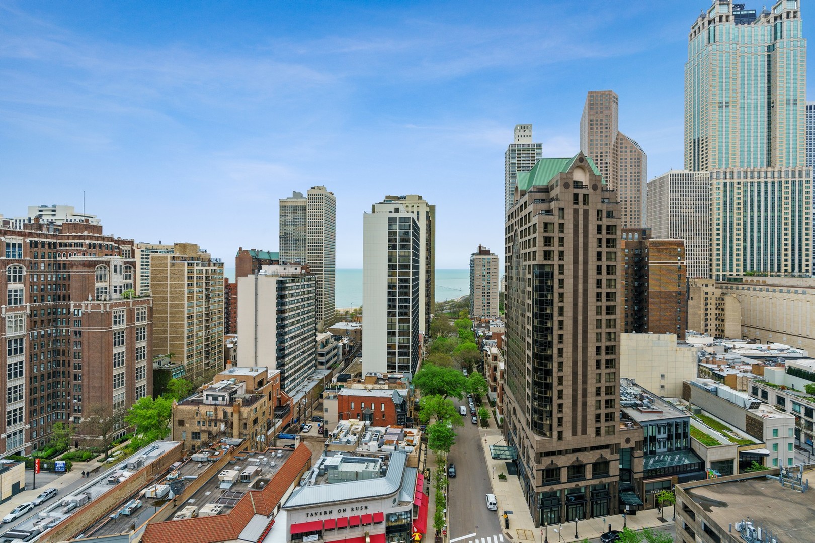 1030 North State Street, Unit 13E Chicago, IL 60610 - Photo 21 of 30 a view of city with tall buildings