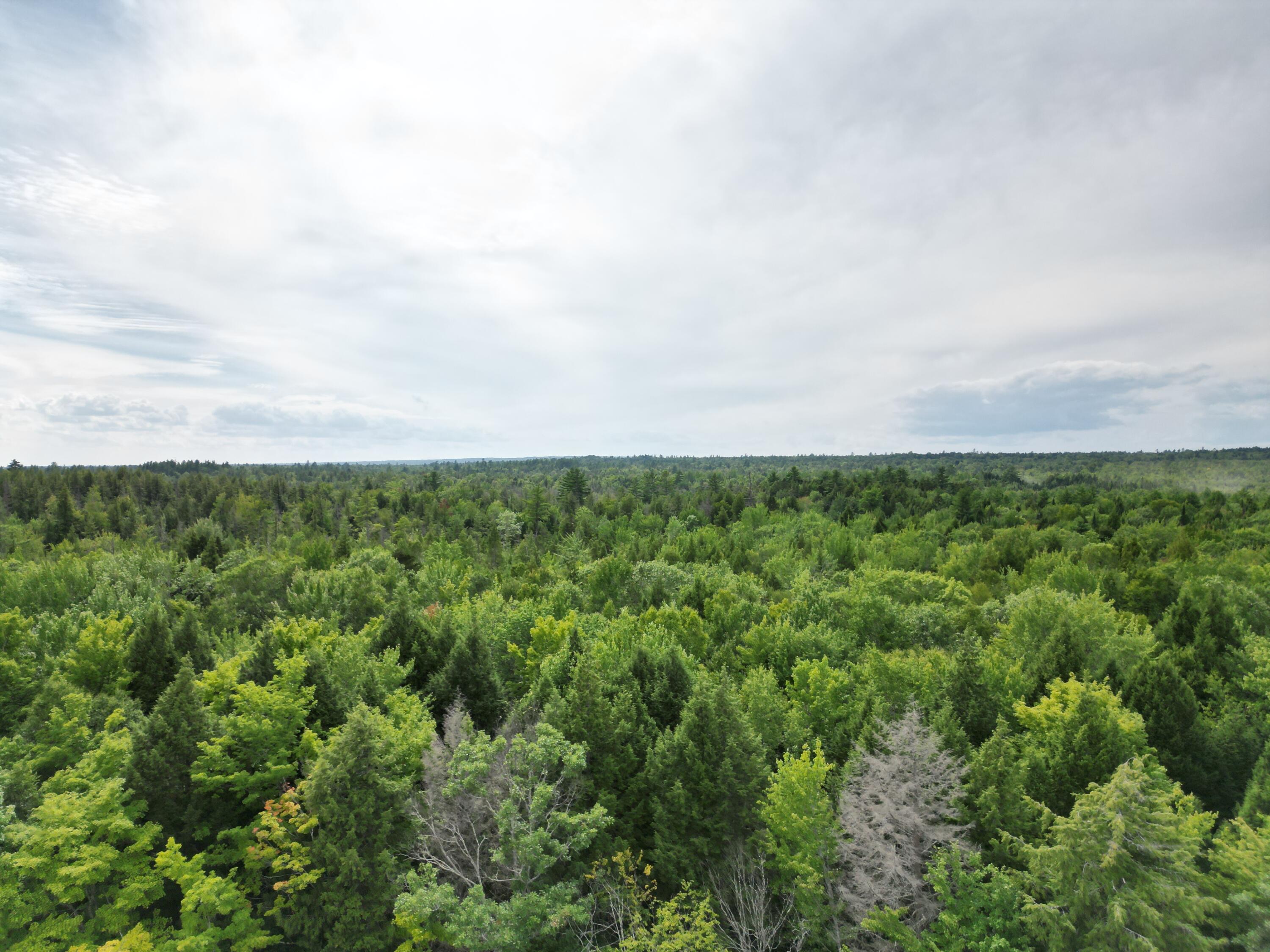 Lot 4 Off Mattamiscontis Road Howland, ME 04448 - Photo 17 of 20 DJI_0081