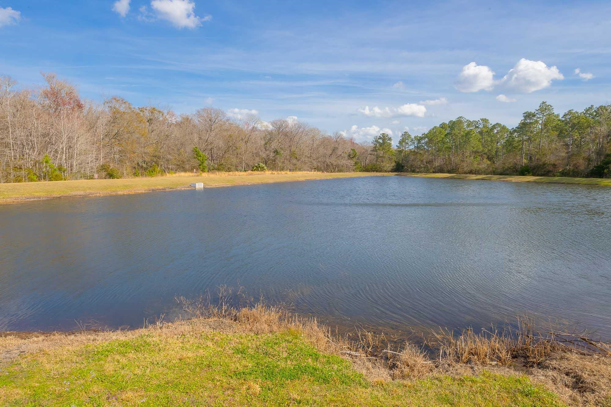951 Orellana Road St. Augustine, FL 32084 - Photo 37 of 54 a view of an ocean and beach