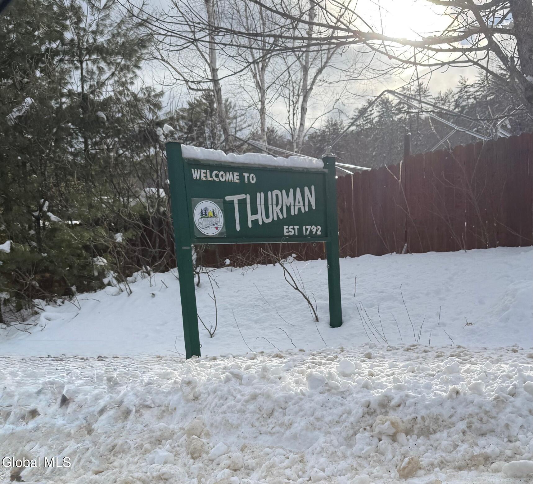 L19 River Road Thurman, NY 12885 - Photo 2 of 10 IMG_2650