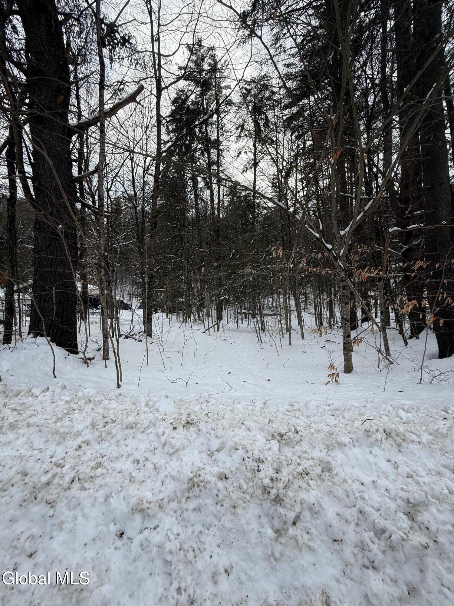 L19 River Road Thurman, NY 12885 - Photo 3 of 10 IMG_2654