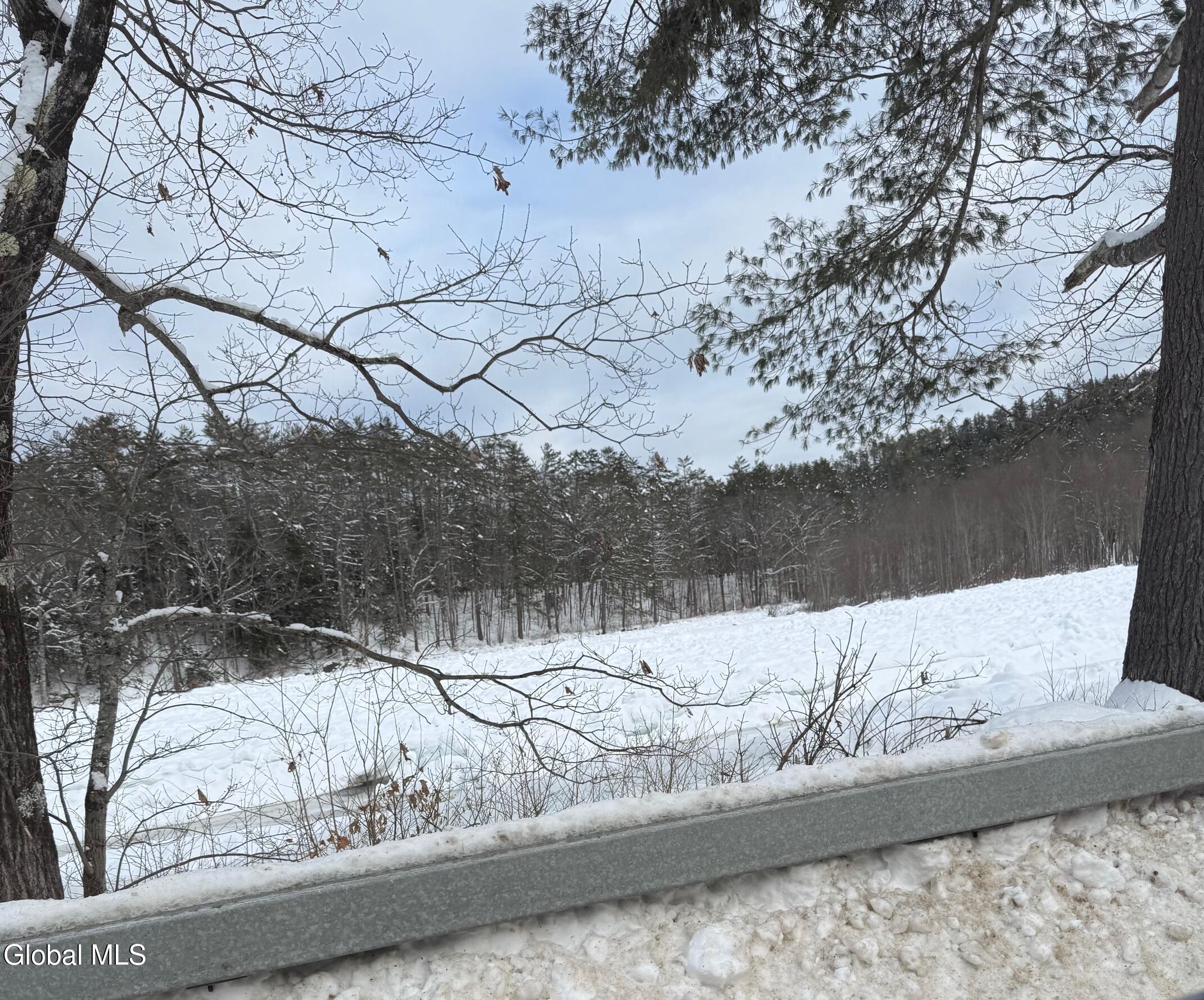 L19 River Road Thurman, NY 12885 - Photo 4 of 10 IMG_2656