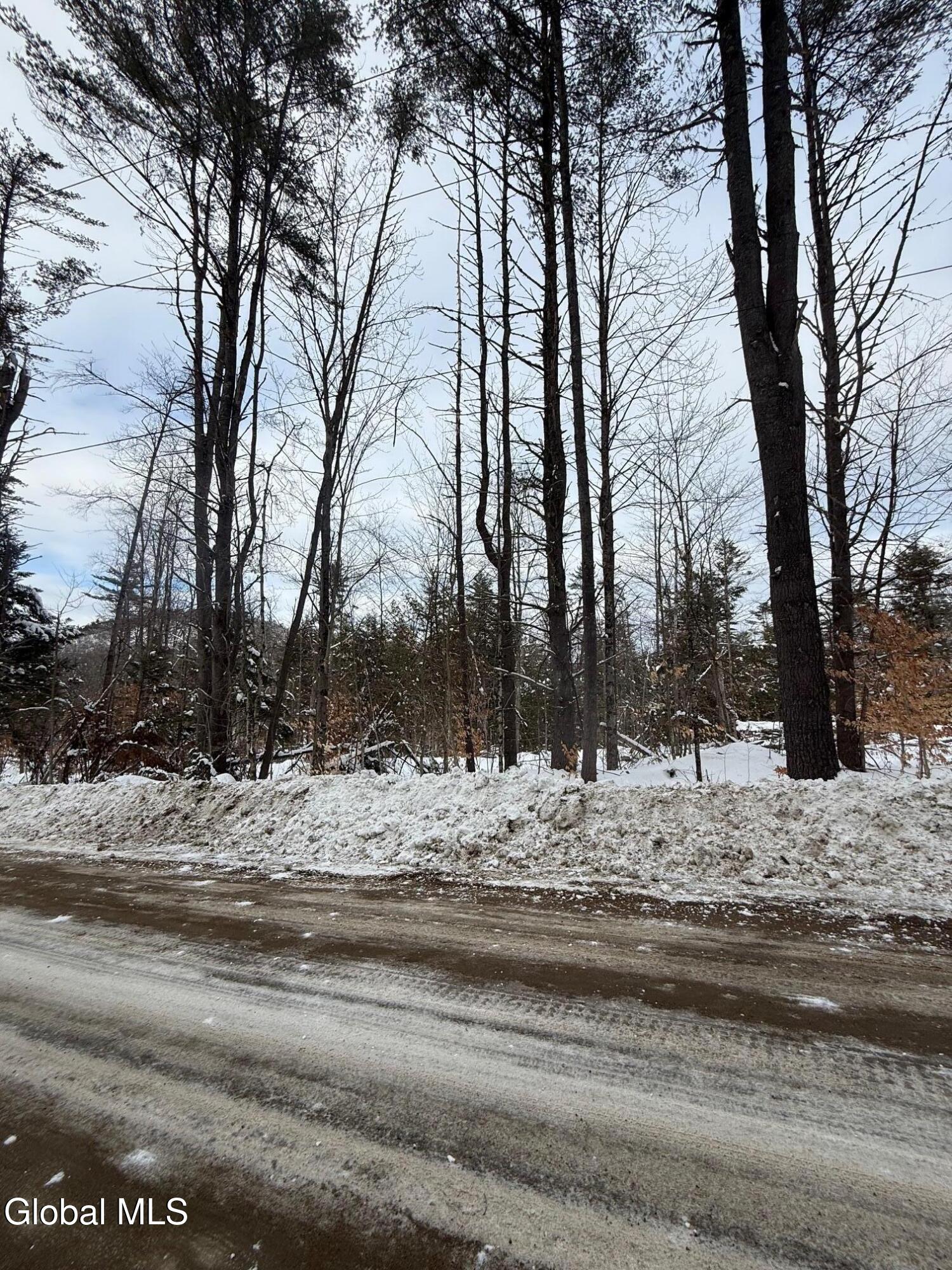 L19 River Road Thurman, NY 12885 - Photo 5 of 10 IMG_2655