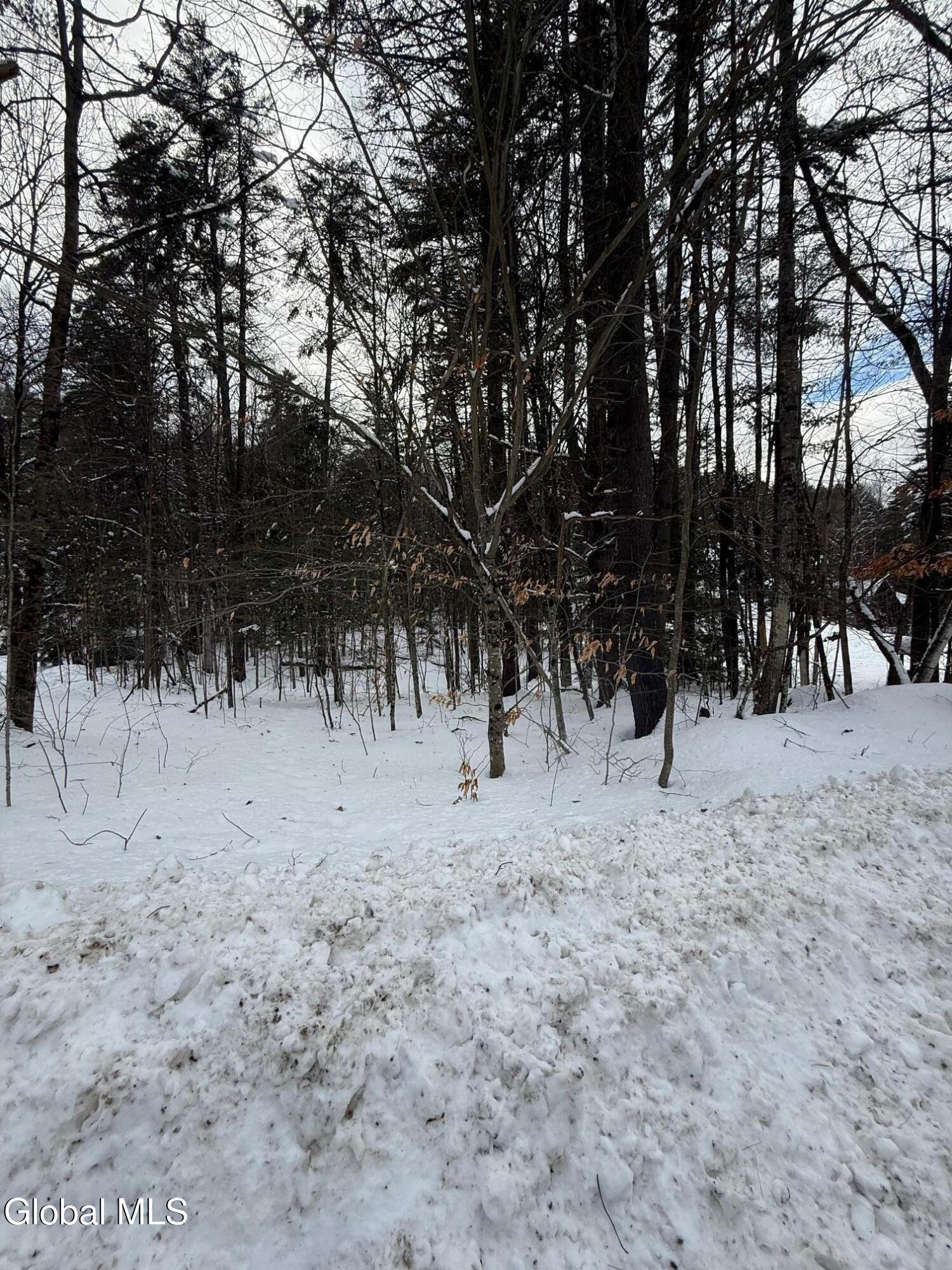 L19 River Road Thurman, NY 12885 - Photo 6 of 10 IMG_2653