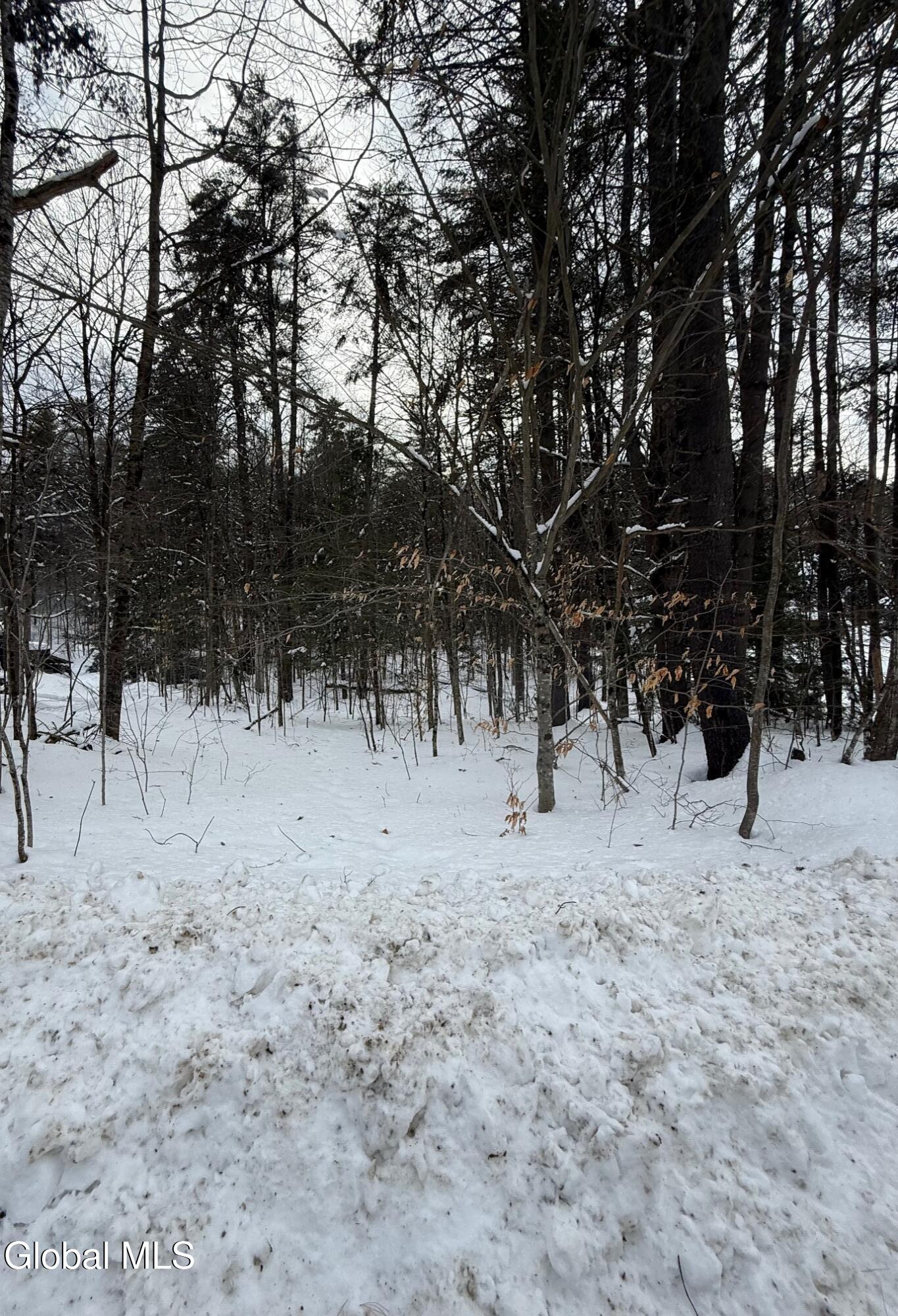 L19 River Road Thurman, NY 12885 - Photo 7 of 10 IMG_2652