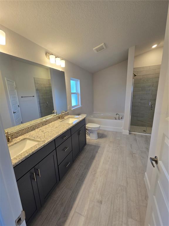 423 Wood Stork Trail Inverness, FL 34453 - Photo 15 of 19 a bathroom with a granite countertop sink a toilet a mirror and bathtub