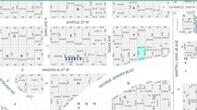 $65,000 | 515 West Magnolia Street, Lakeland, FL 33815