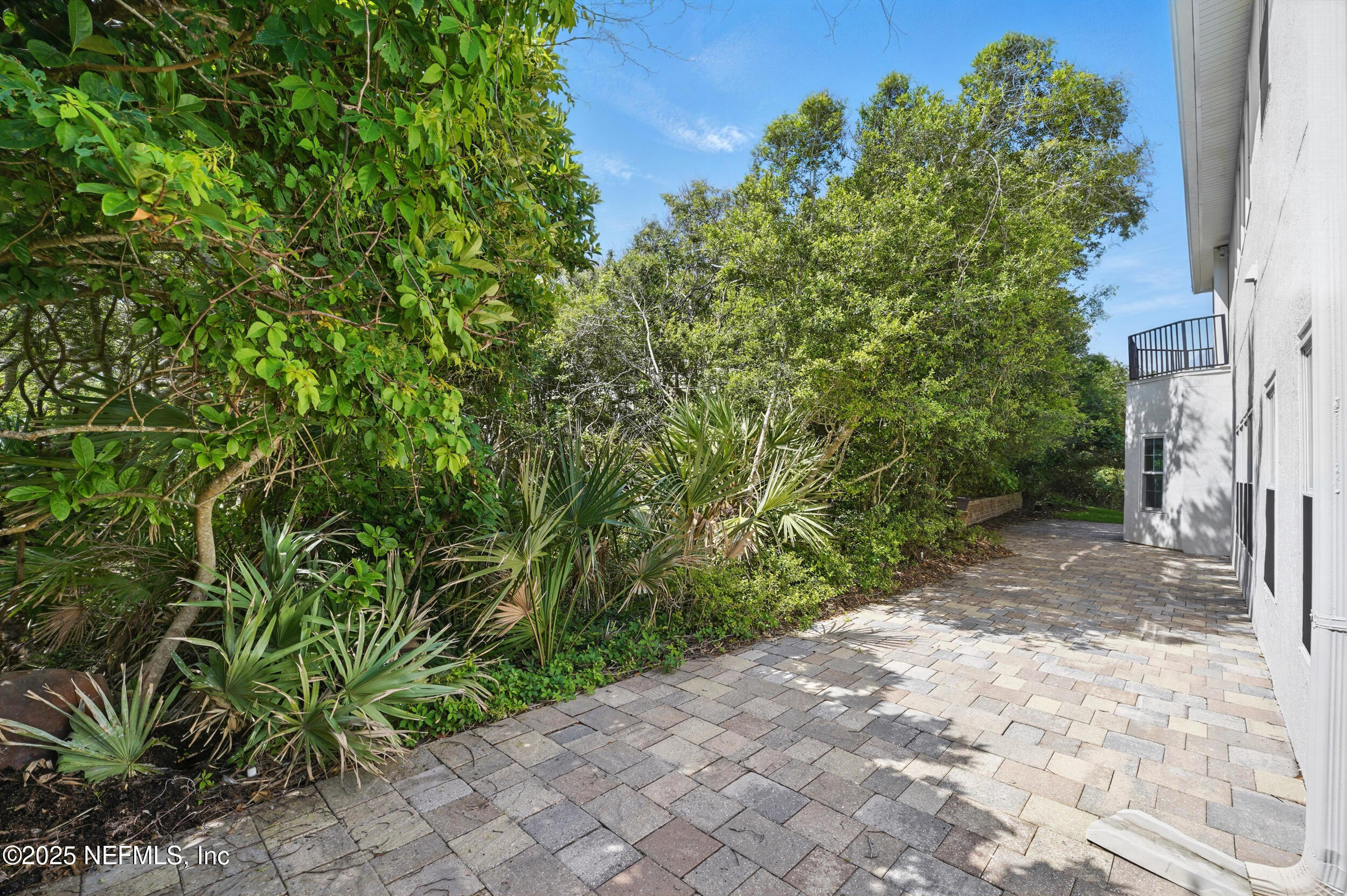 105 2nd Street St. Augustine, FL 32084 - Photo 51 of 61 a view of a yard with plants and trees