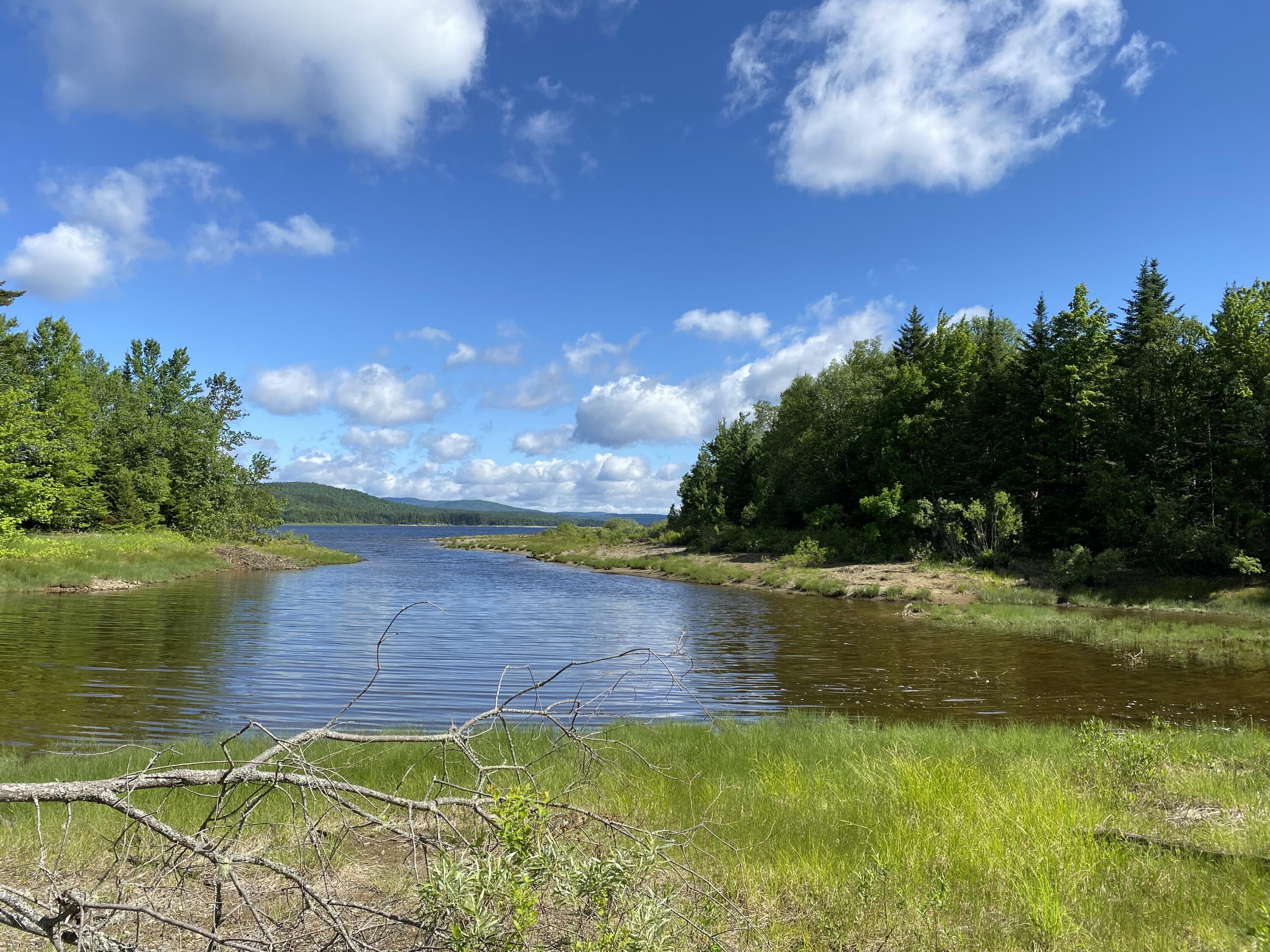8-9 Alca Heights Road Oquossoc, ME 04964 - Photo 2 of 26 IMG_0241