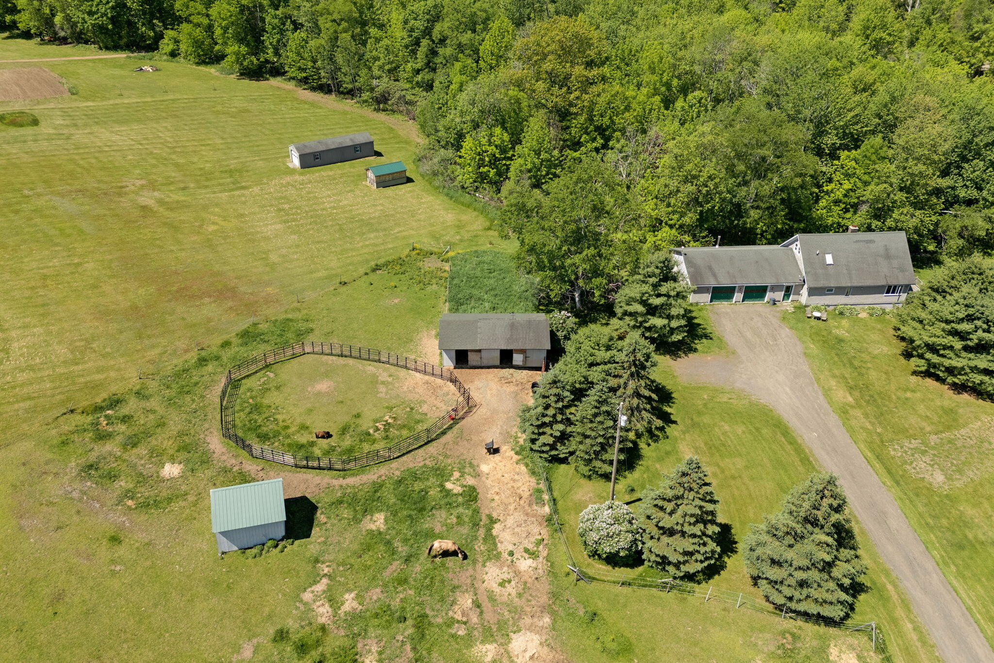 46 Lang Hill Road Palmyra, ME 04965 - Photo 65 of 84 64-web-or-mls-46-lang-hill-rd