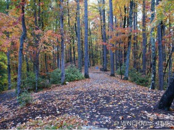 50 Rush Ridge Trail Fairview, NC 28730 - Photo 20 of 24 Gallery Image 20
