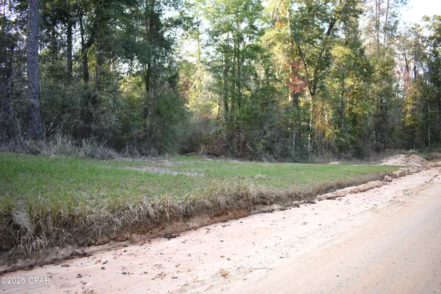 $22,000 | Lot 1 Lakeview Road, Caryville, FL 32427