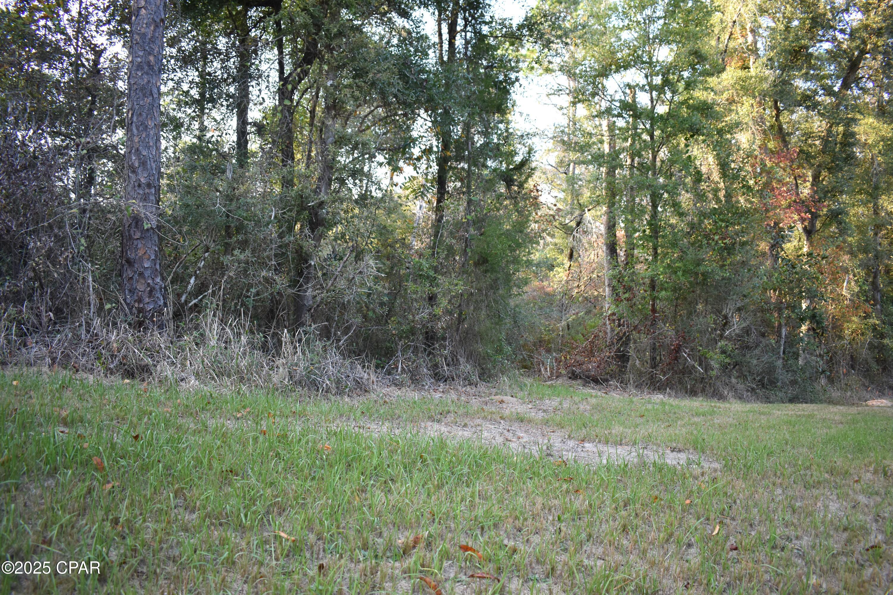 Lot 1 Lakeview Road Caryville, FL 32427 - Photo 2 of 9