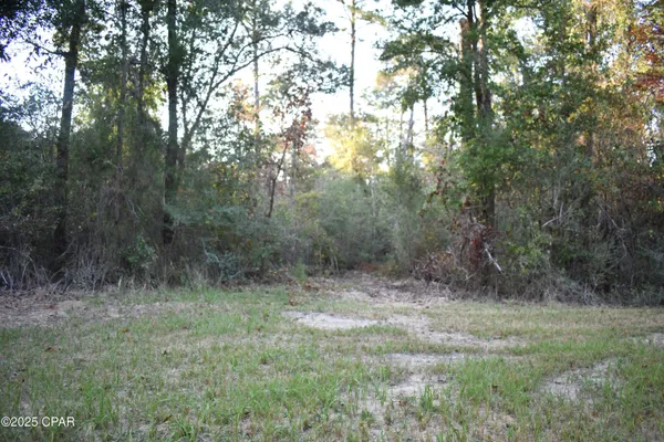$26,900 | Lot 1 Lakeview Road, Caryville, FL 32427