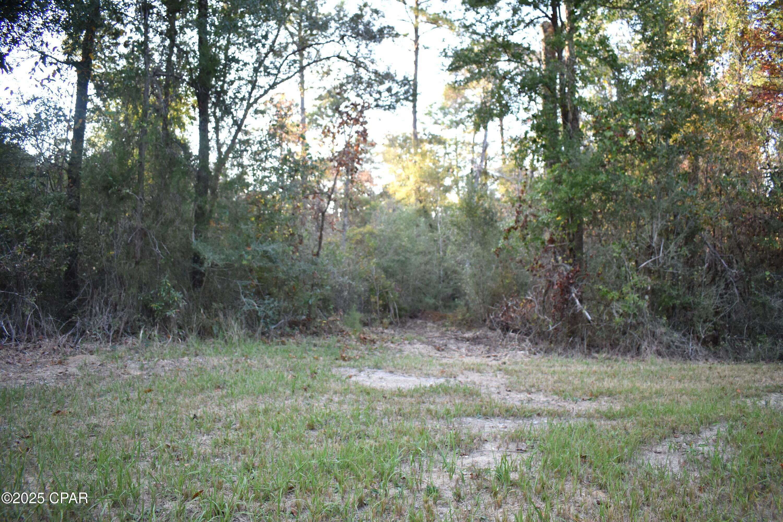 Lot 1 Lakeview Road Caryville, FL 32427 - Photo 3 of 9