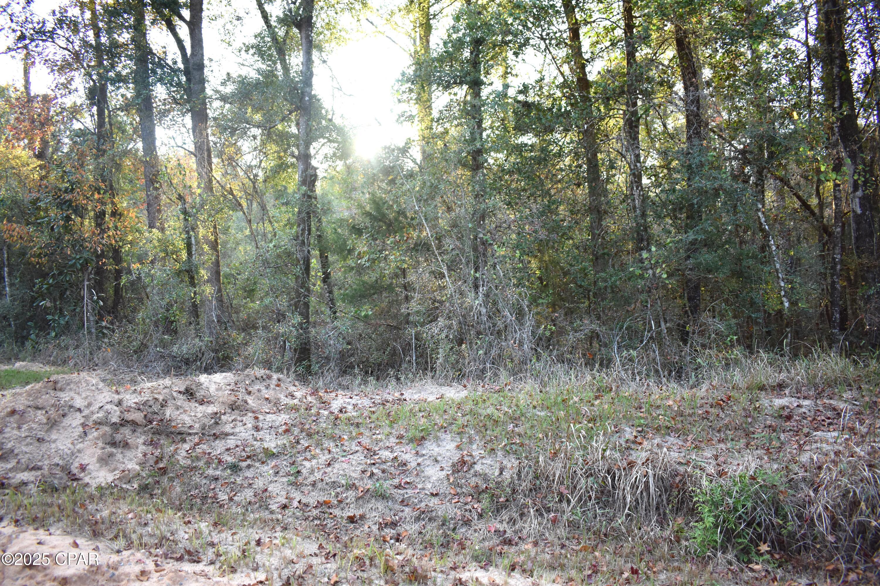 Lot 1 Lakeview Road Caryville, FL 32427 - Photo 4 of 9