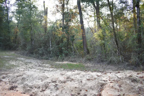 $26,900 | Lot 1 Lakeview Road, Caryville, FL 32427