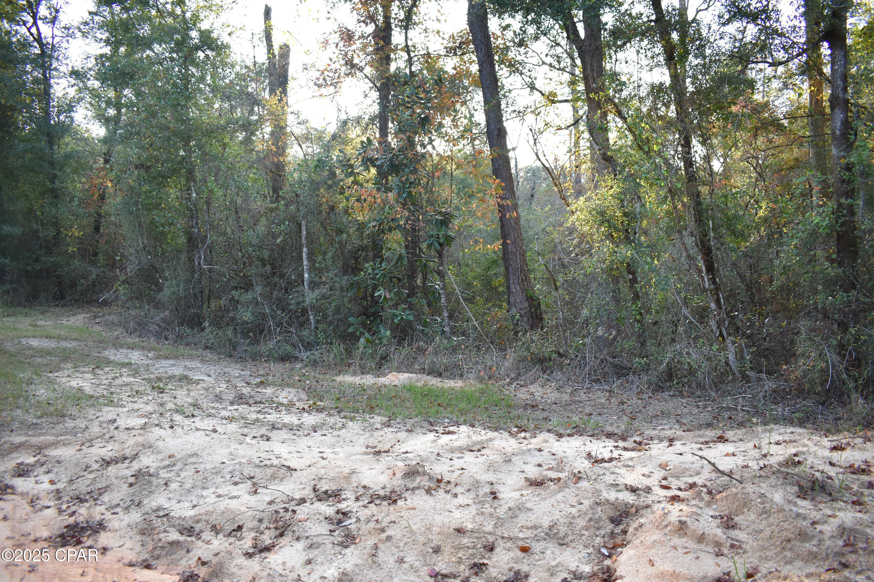 Lot 1 Lakeview Road Caryville, FL 32427 - Photo 5 of 9