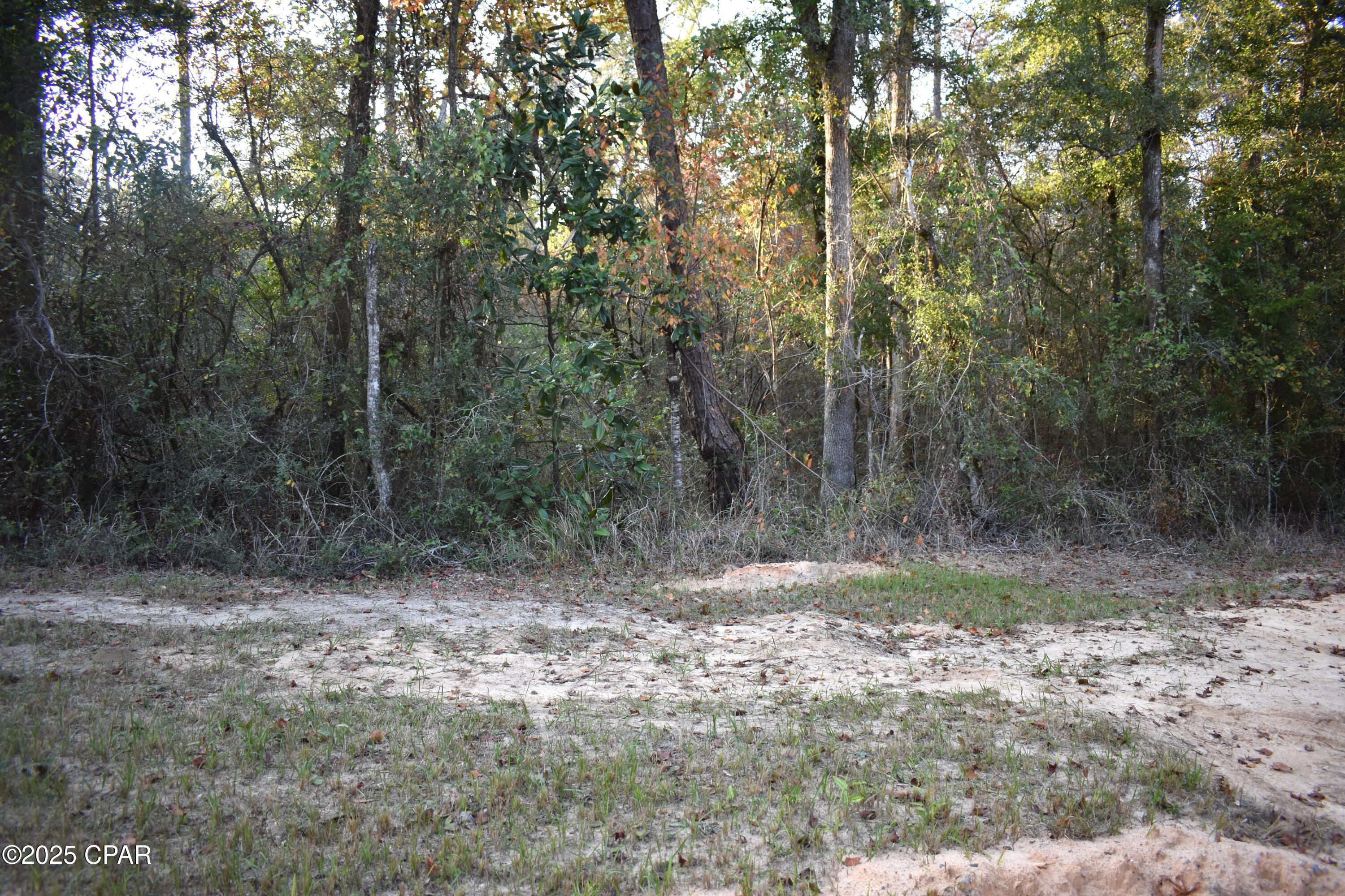 Lot 1 Lakeview Road Caryville, FL 32427 - Photo 6 of 9