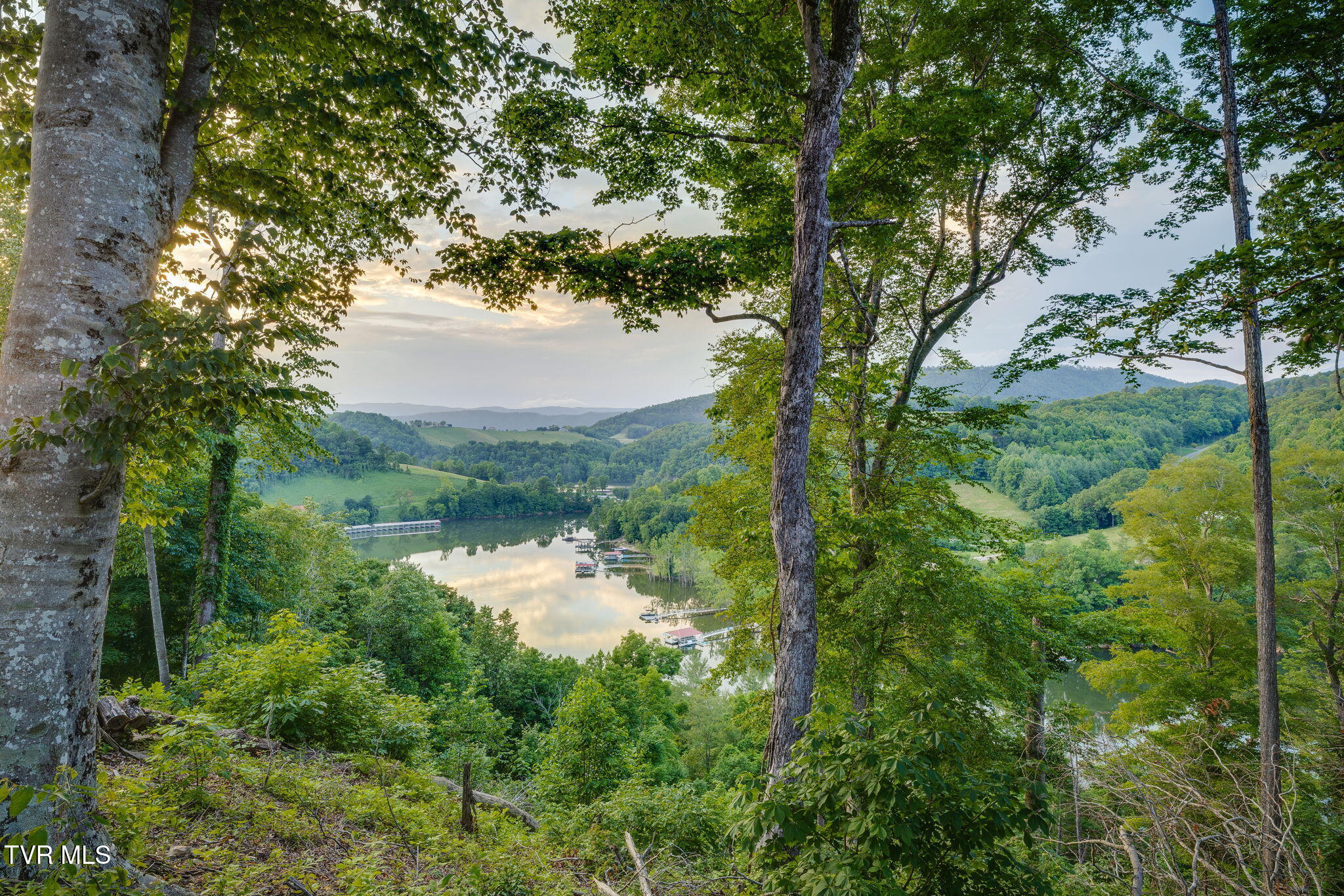 Lot 24 Cowan Town Road, Unit 24 Butler, TN 37640 - Photo 3 of 21 002