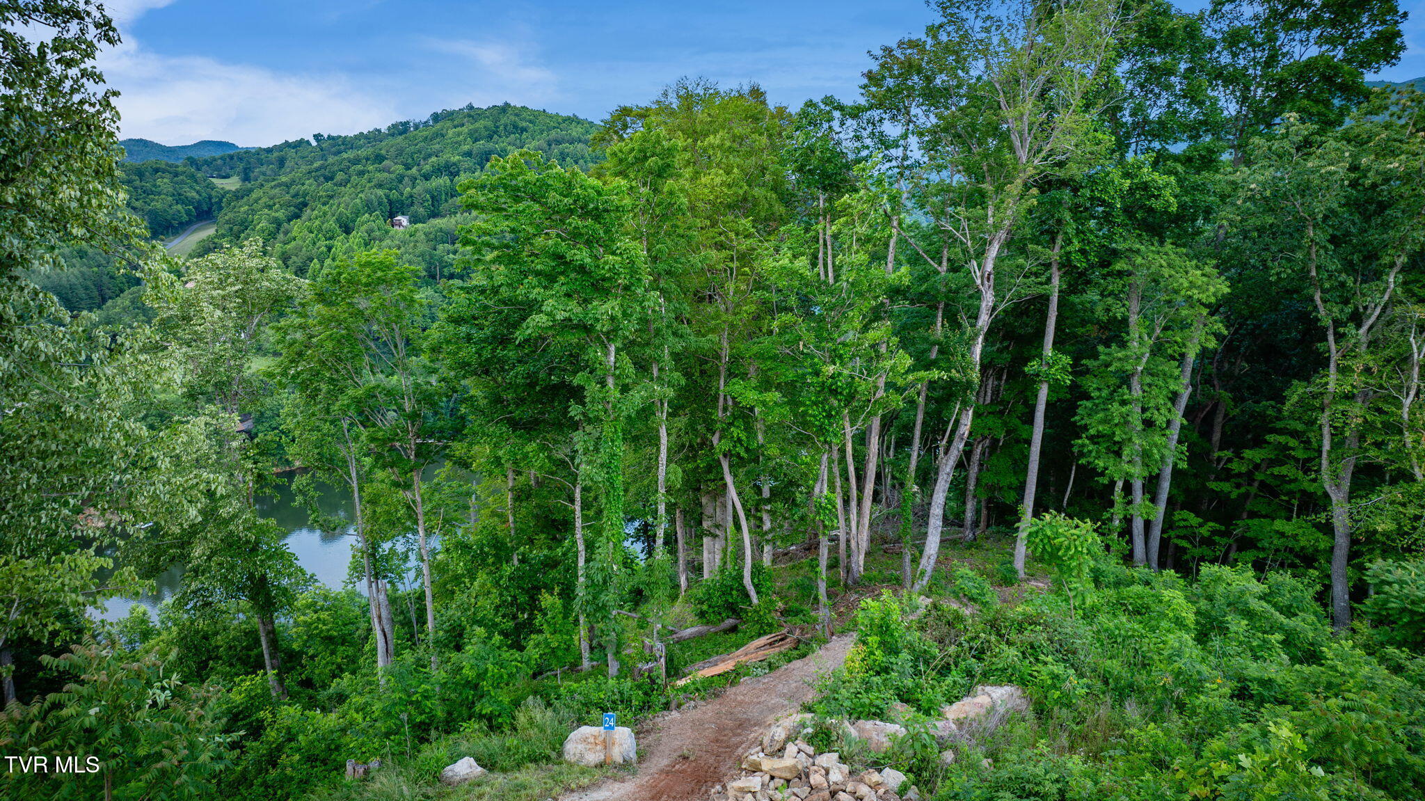 Lot 24 Cowan Town Road, Unit 24 Butler, TN 37640 - Photo 9 of 21 108