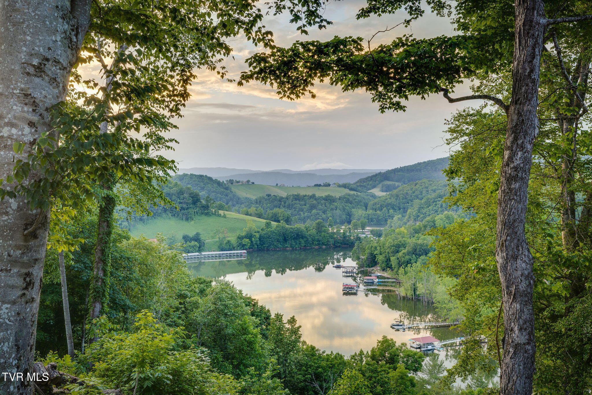 Lot 24 Cowan Town Road, Unit 24 Butler, TN 37640 - Photo 10 of 21 003