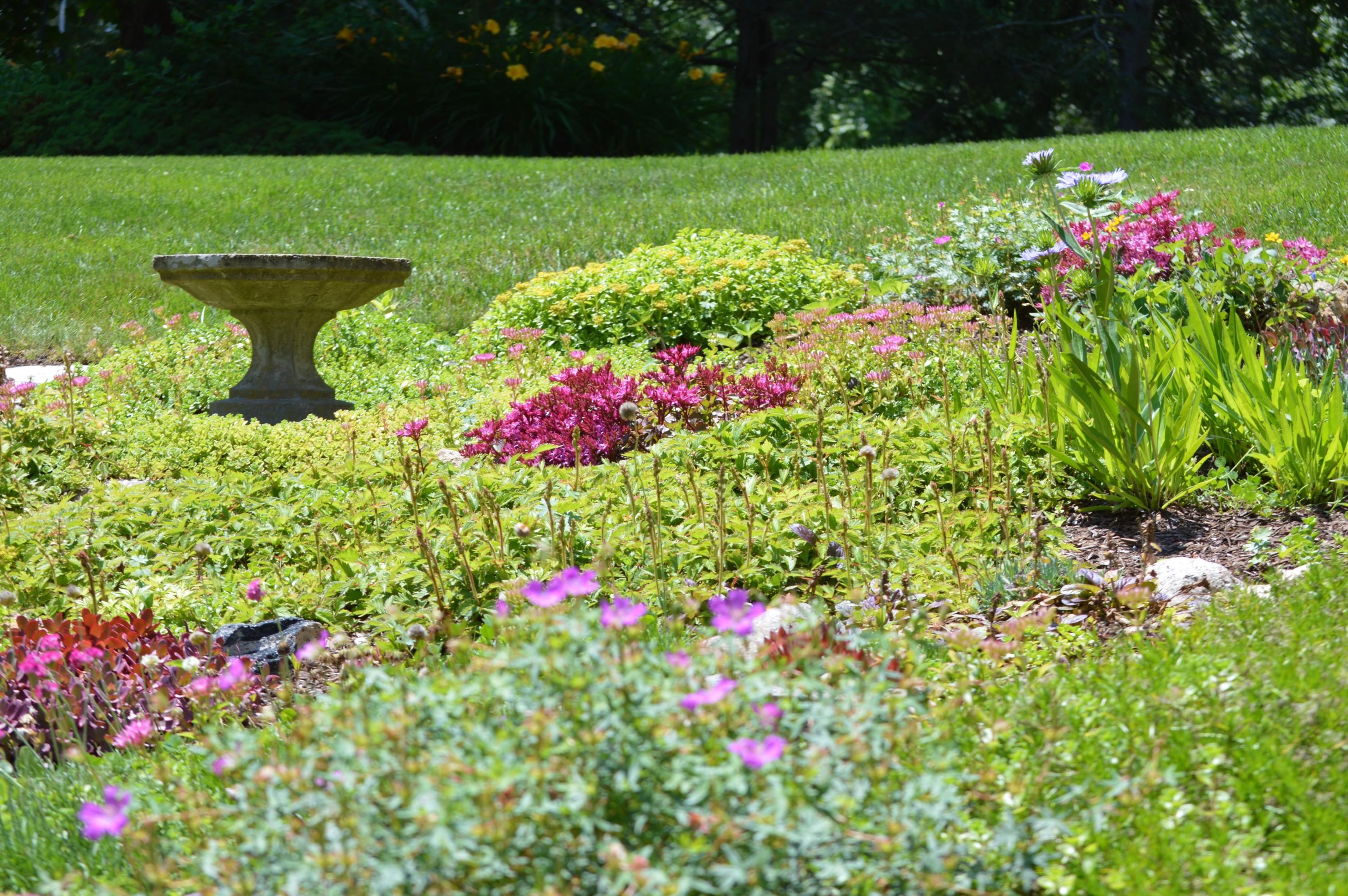 7 Wolf Road Buzzards Bay, MA 02532 - Photo 39 of 53 DSC_0576 (2)