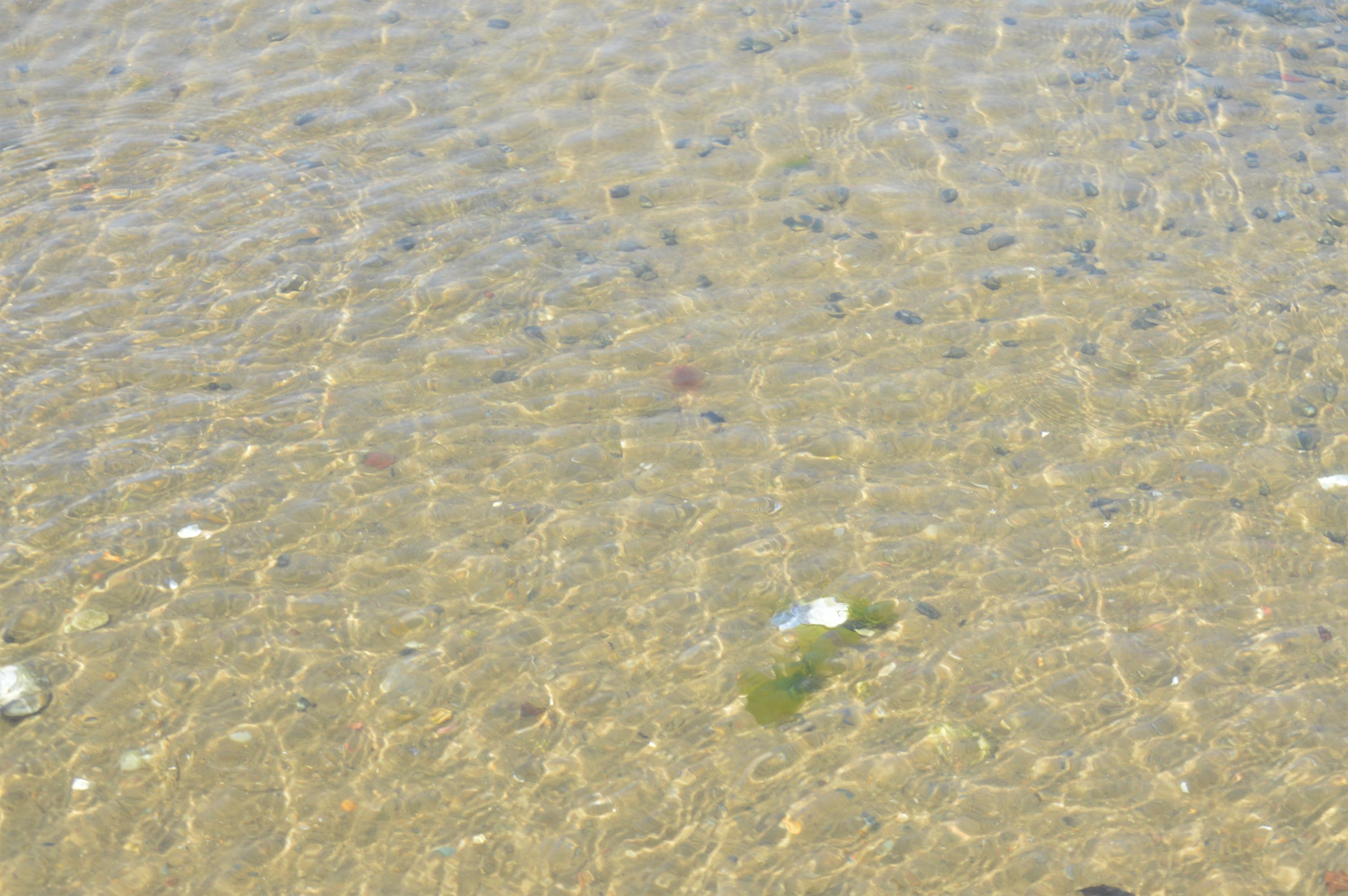 7 Wolf Road Buzzards Bay, MA 02532 - Photo 51 of 53 DSC_0652 (2)