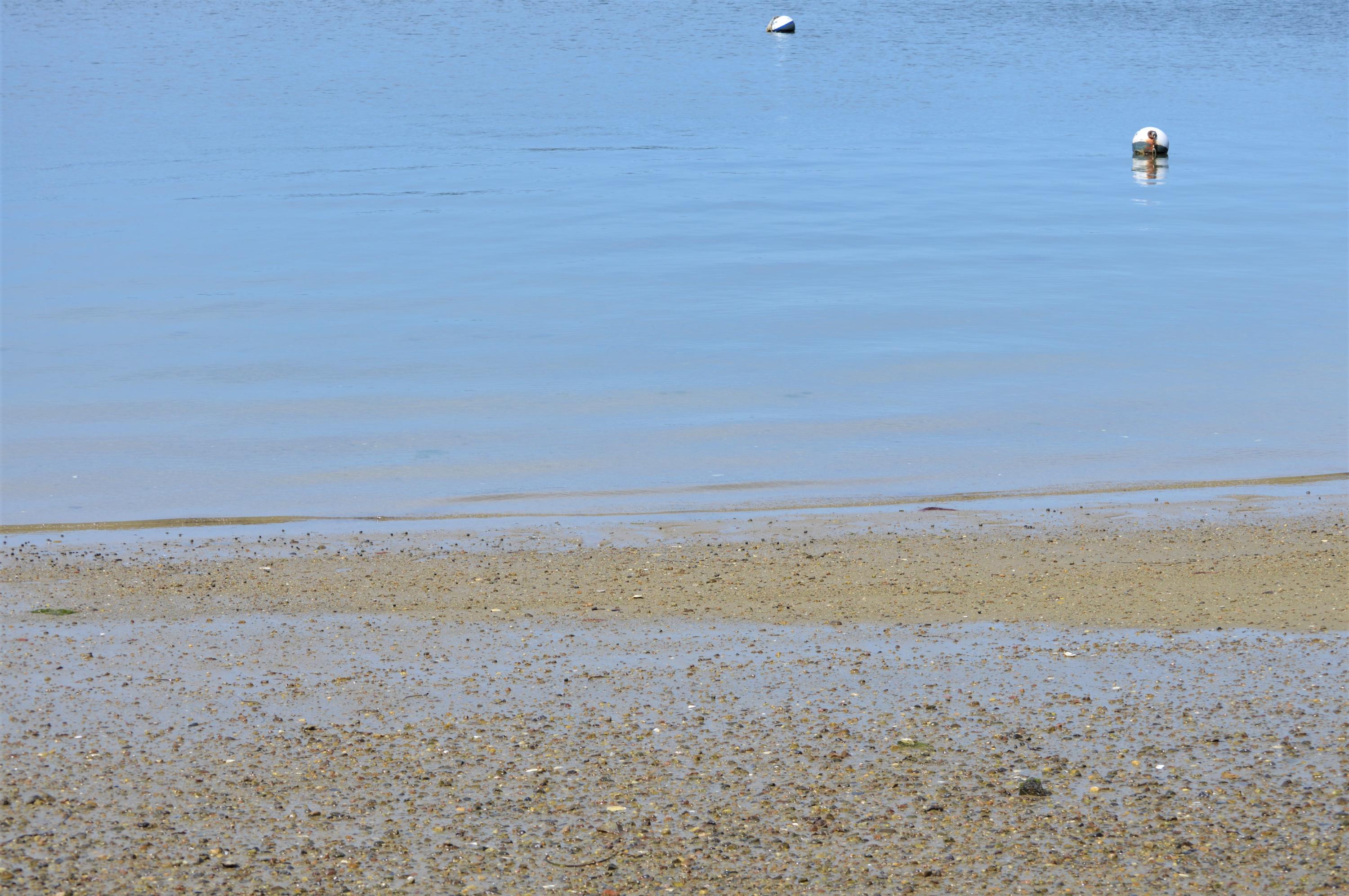 7 Wolf Road Buzzards Bay, MA 02532 - Photo 6 of 53 DSC_0672 (2)