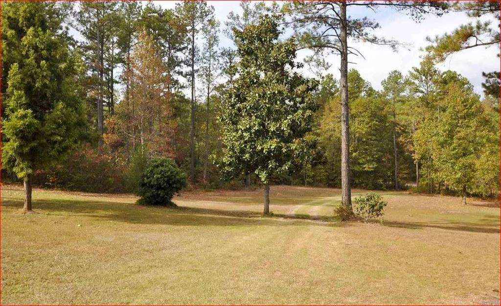 342 Holiday Cemetary Road Jefferson, GA 30549 - Photo 17 of 18