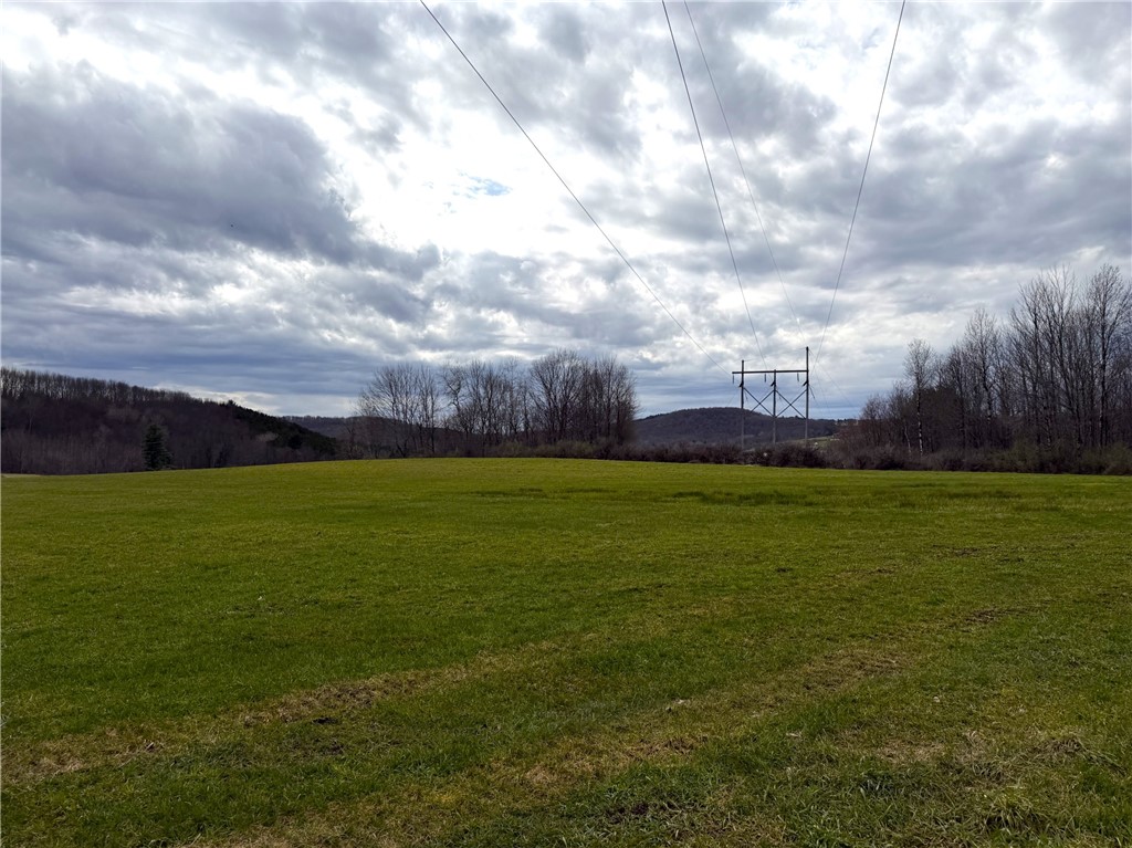 Lot 7 Summit Road Cuba, NY 14727 - Photo 22 of 31