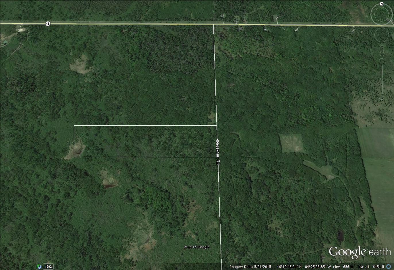 40 A South Lockhart Road Pickford, MI 49774 - Photo 1 of 1 Gallery Image 1