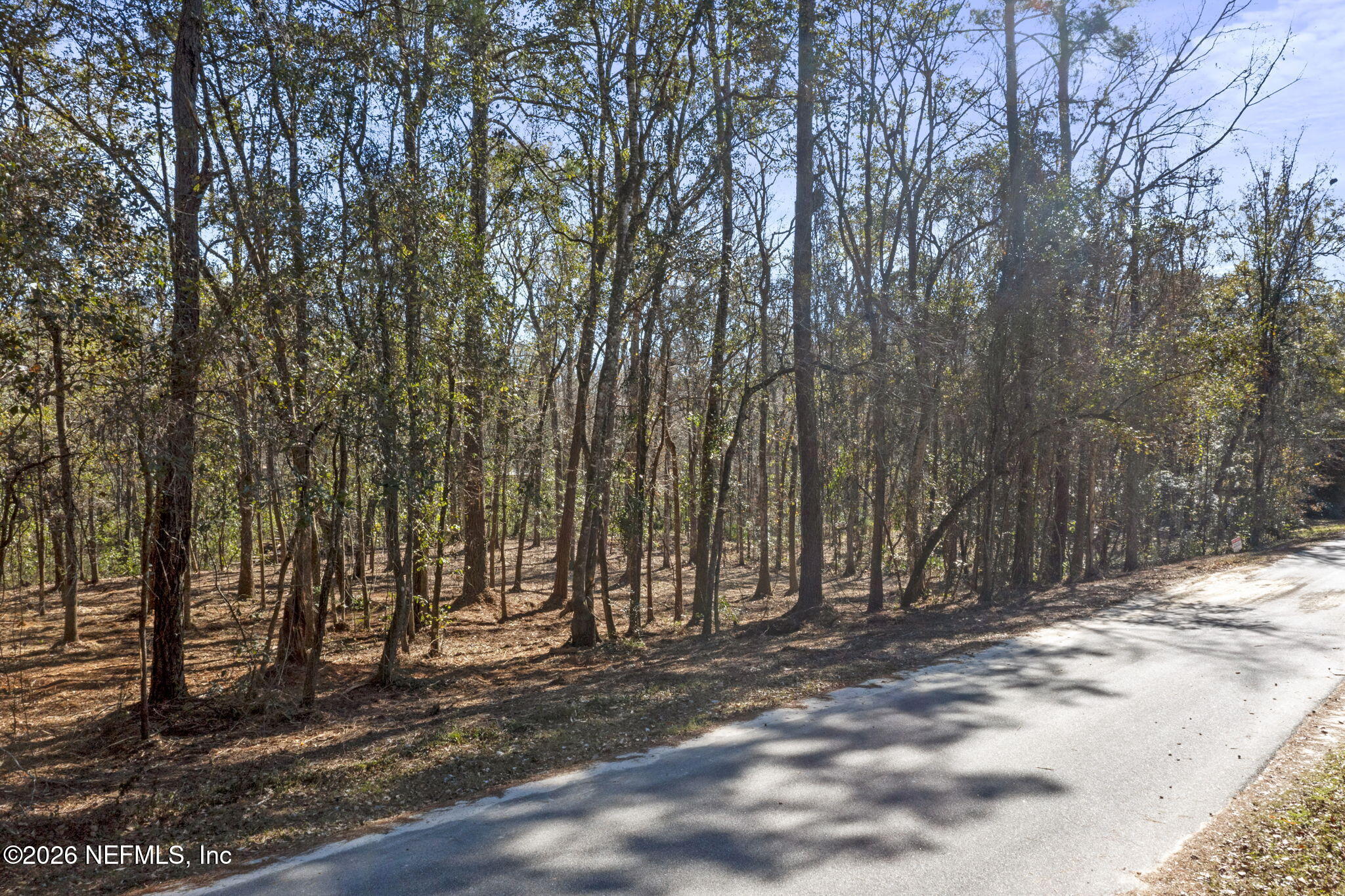 2764 Indigo Circle Middleburg, FL 32068 - Photo 16 of 16 a view of outdoor space and yard
