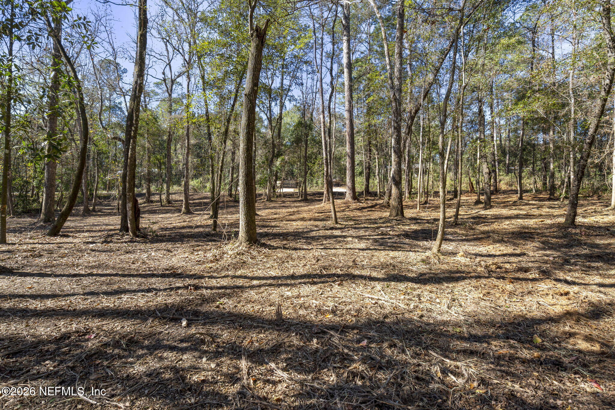 2764 Indigo Circle Middleburg, FL 32068 - Photo 5 of 16 a backyard of a house with lots of green space