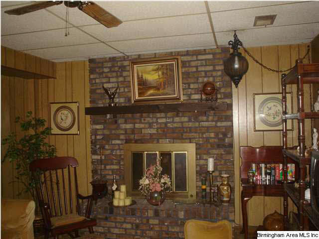 2707 Pine Hill Road Adamsville, AL 35005 - Photo 3 of 8