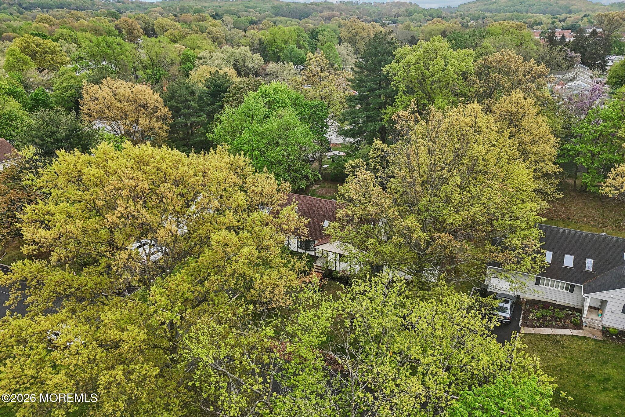 4 Woodland Road Holmdel, NJ 07733 - Photo 46 of 62 11-web-or-mls-Woodland Rd-S2304-010