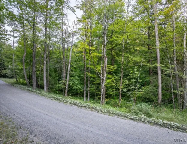 $119,900 | Lot 2.5 Jerseyfield Road, Little Falls, NY 13365