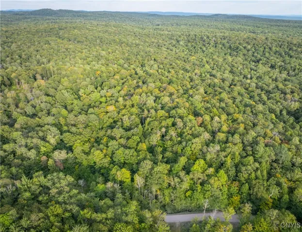 $119,900 | Lot 2.5 Jerseyfield Road, Little Falls, NY 13365