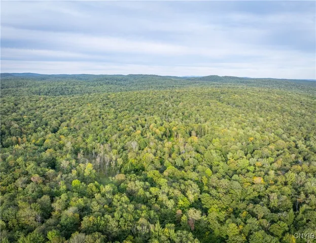 $119,900 | Lot 2.5 Jerseyfield Road, Little Falls, NY 13365