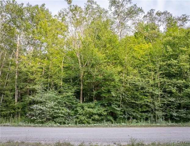 $119,900 | Lot 2.5 Jerseyfield Road, Little Falls, NY 13365