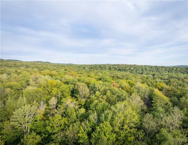 $119,900 | Lot 2.5 Jerseyfield Road, Little Falls, NY 13365
