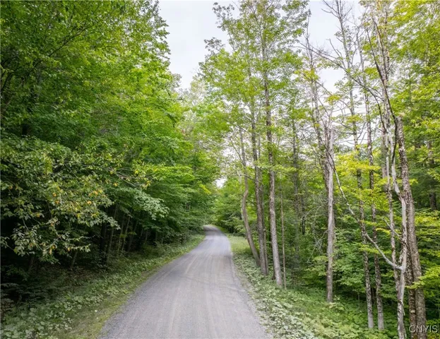 $119,900 | Lot 2.5 Jerseyfield Road, Little Falls, NY 13365