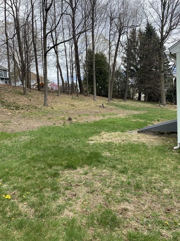 17 Daley Street Leominster, MA 01453 - Photo 2 of 21 a garden view