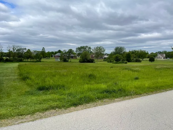 a view of a grassy field with trees
