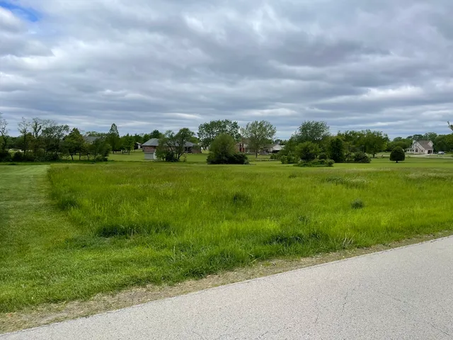 a view of a grassy field with trees