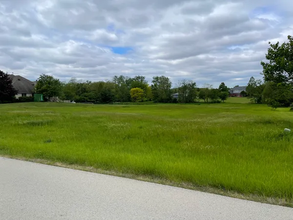 a view of a grassy field with trees