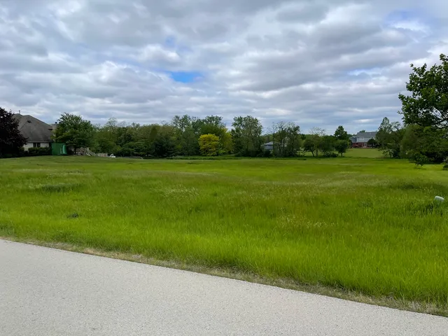 a view of a grassy field with trees