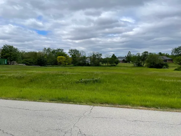 a view of a grassy field with an trees